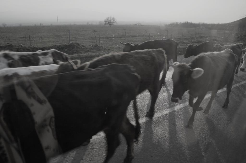 I do believe in&nbsp;cowboys