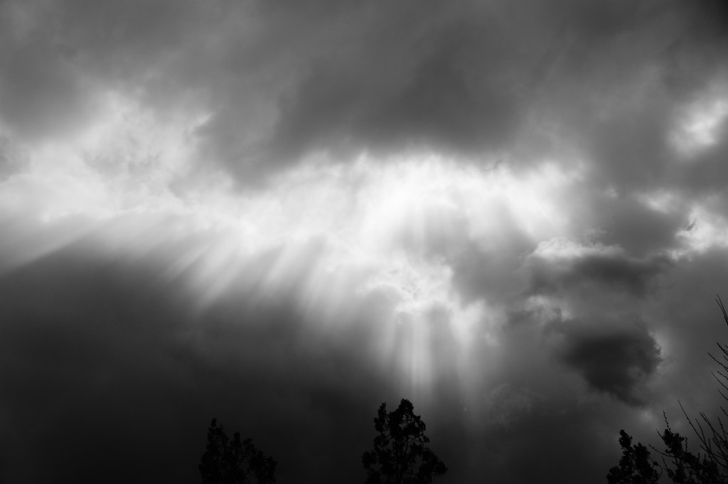 Skin in Eggshell&nbsp;White